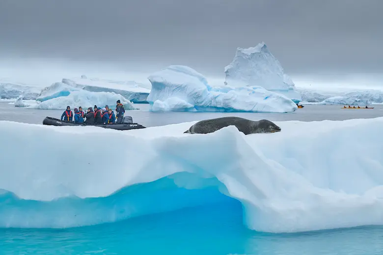 Zeehonden spotten op Antarctica. © Mike Louagie / Nordic