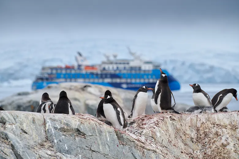 Bekijk pinguins op Petermann Island. © Mike Louagie / Nordic