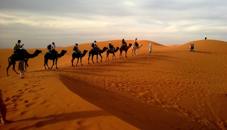 Een excursie door de woestijn van bijvoorbeeld Oman of Jordanië kun je waarschijnlijk beter regelen via de cruisemaatschappij. © xisdom / Pixabay 