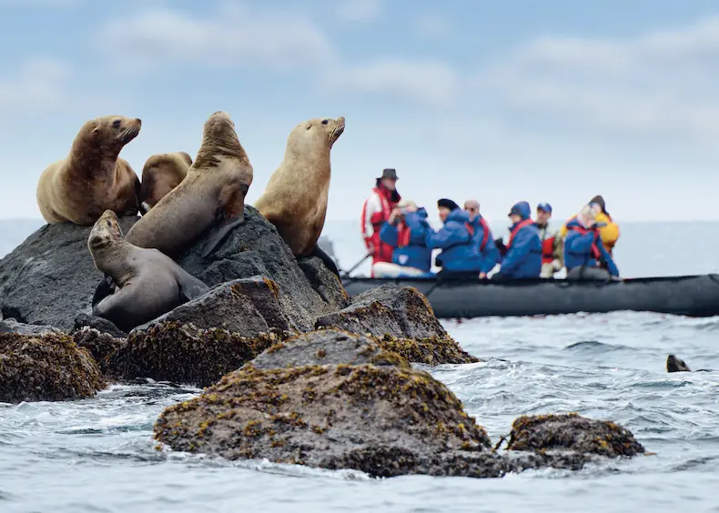 De Hanseatic expeditiecruiseschepen van Hapag-Lloyd Cruises beschikken over voldoende zodiacs om alle passagiers voldoende tijd te geven voor landingen zoals hier bij Antarctica. © Hapag-Lloyd Kreuzfahrten GmbH