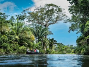 Tijdens zodiac-tochten kun je de jungle van de Amazone van dichtbij ervaren in de Amazone © Hapag Lloyd Cruises