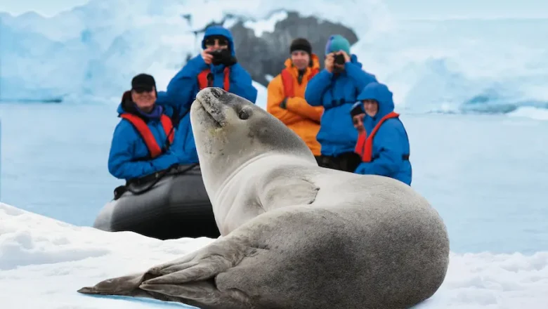 Van de Zuidpool tot het Amazonewoud: Pure expeditie, pure verwondering met Hapag-Lloyd Cruises