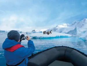 Sta oog in oog met pinguines en robben tijdens een cruise naar Antarctica. © Hapag Lloyd Cruises
